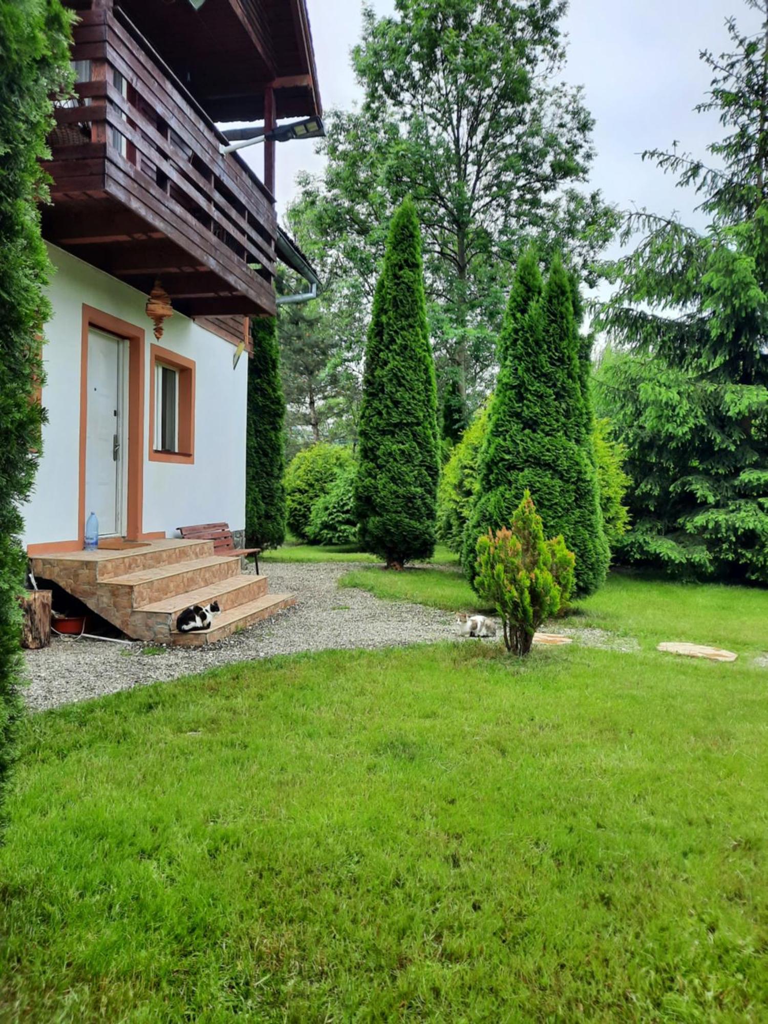 Colt De Rai Villa Bran  Ngoại thất bức ảnh